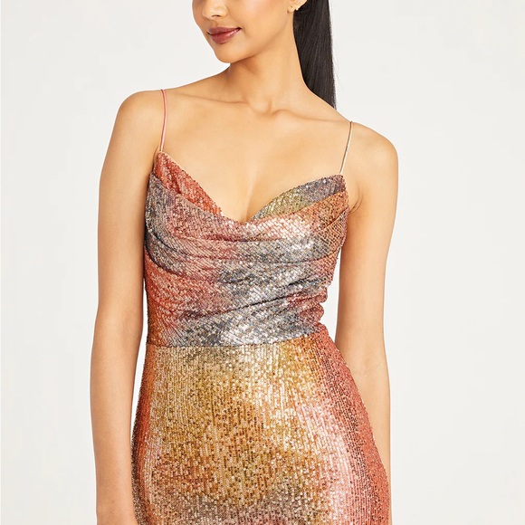 THEIA🧡💛💗Gown - Picture 4 of 10